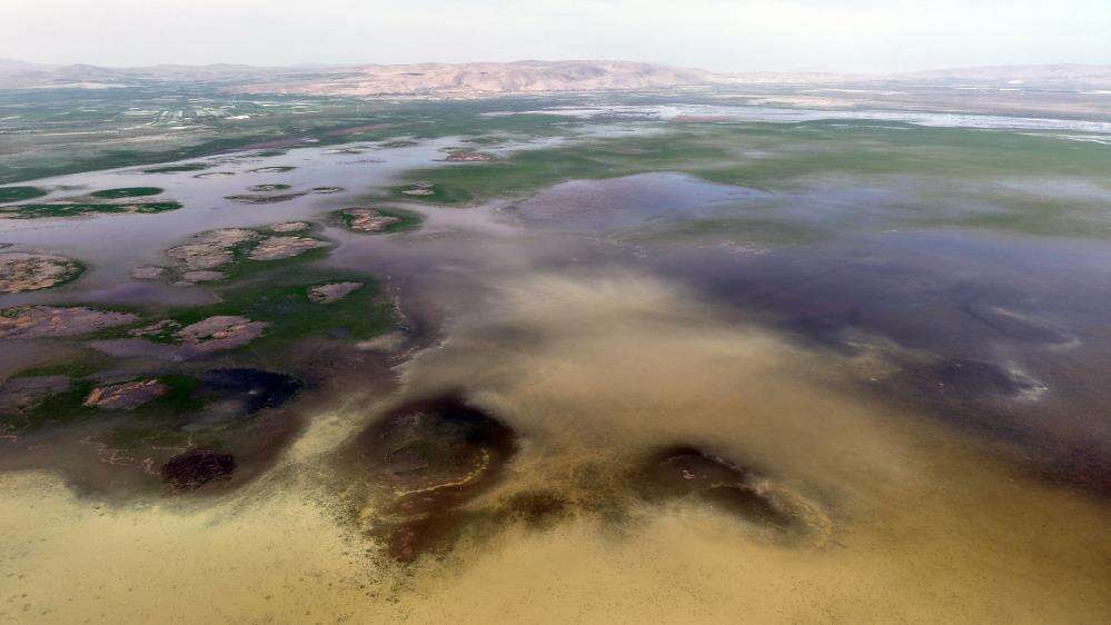 Konya’nın hocasıyla ünlü gölü 8 yıl sonra yeniden can buldu 2